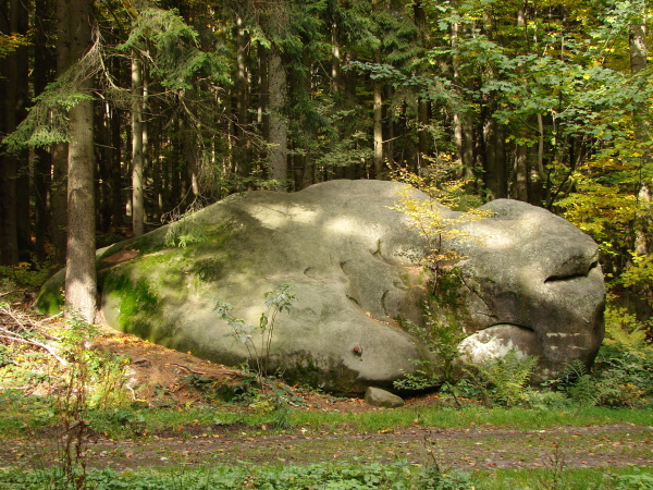 DSC07353.JPG