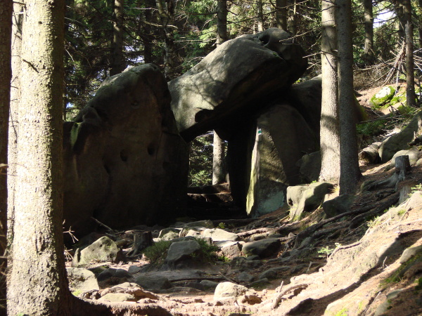 DSC07358.JPG