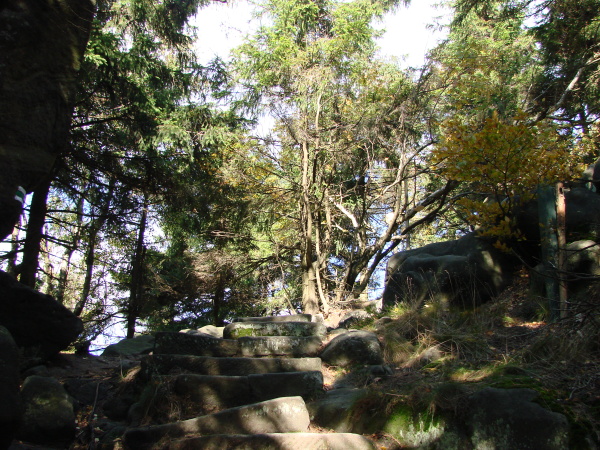 DSC07364.JPG