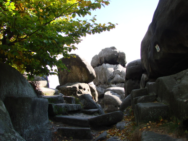 DSC07366.JPG